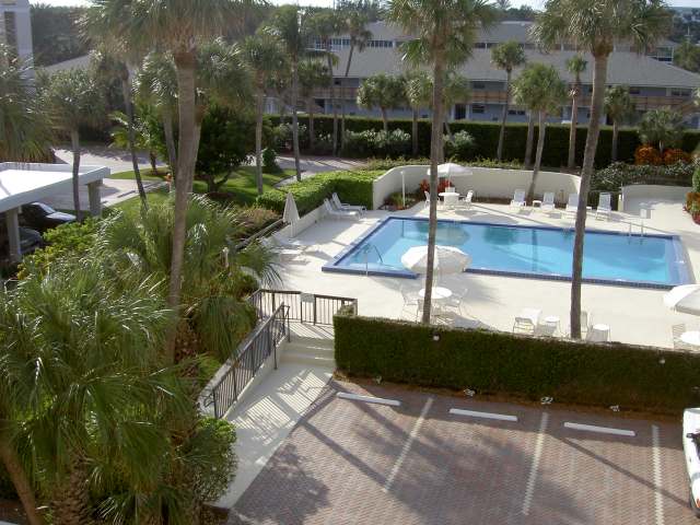 Swimming pool with palm trees and lounge chairs